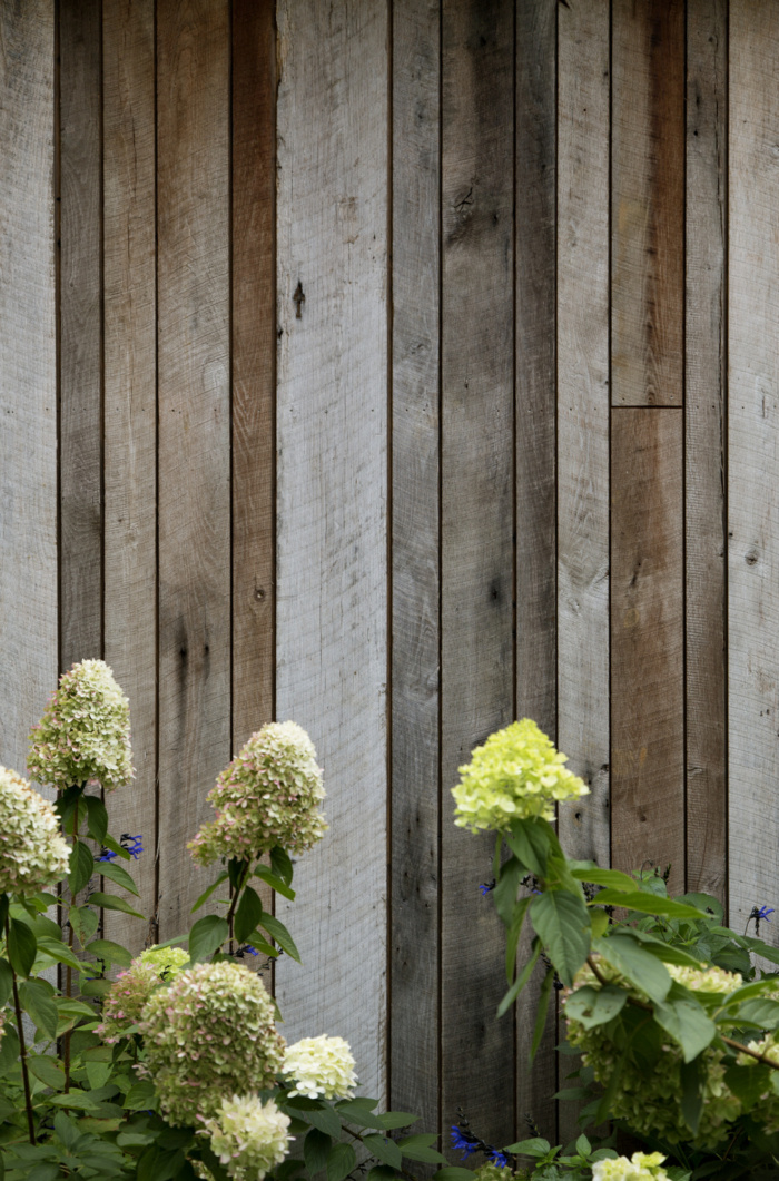 Portola Valley Barn - 0