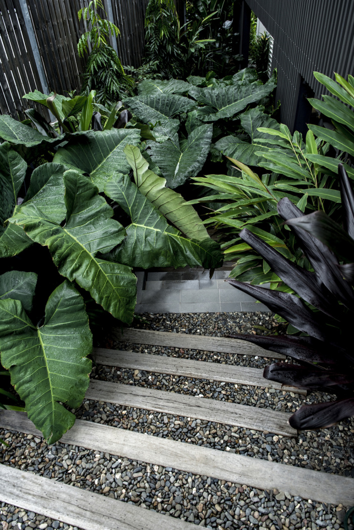 Yeronga House - 0
