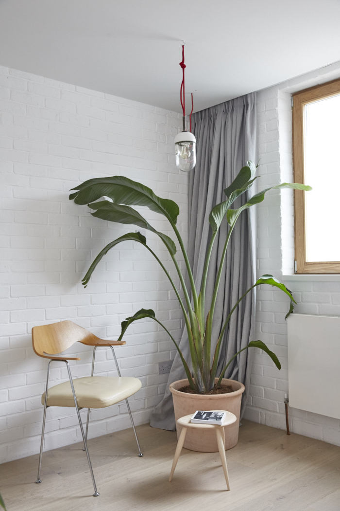 Hackney Mews House - 0