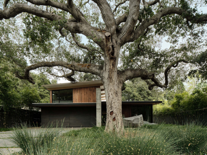 The Sanctuary House - 0