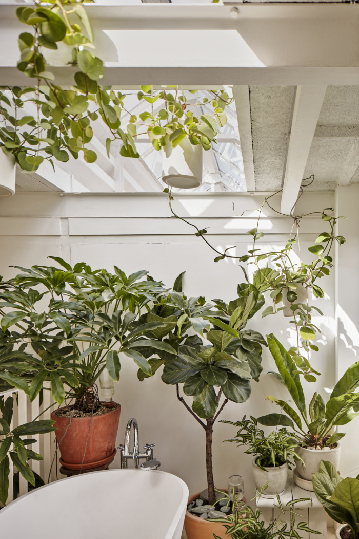 Ketelhuis Residence - 0