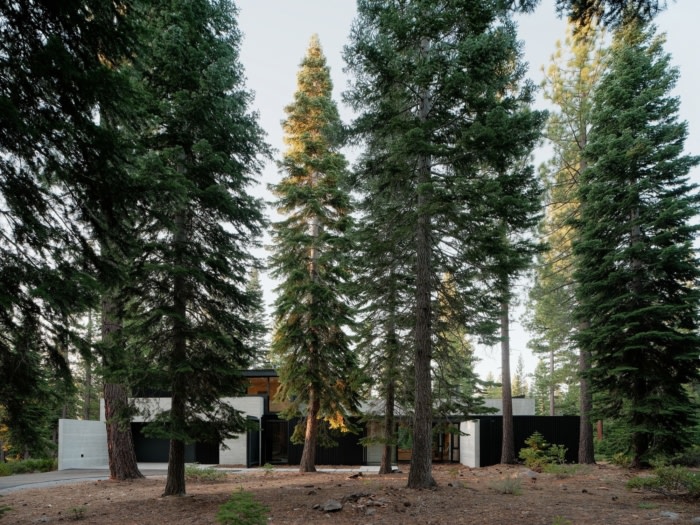 Forest House - 0