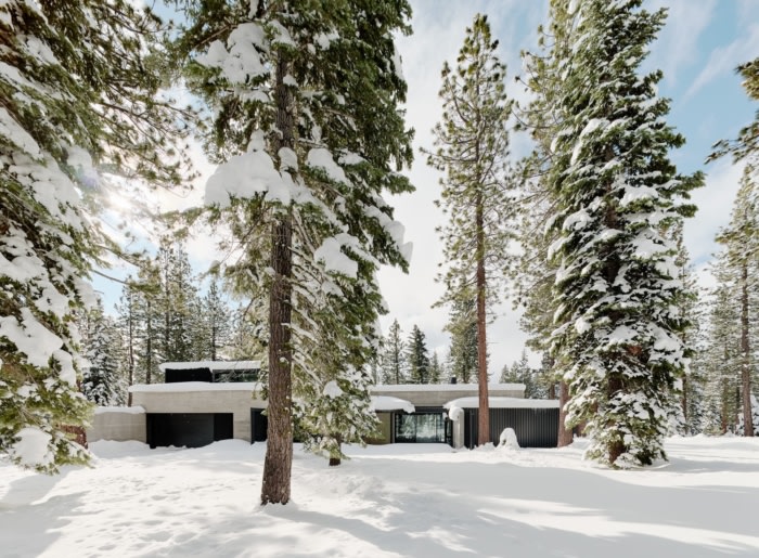 Forest House - 0