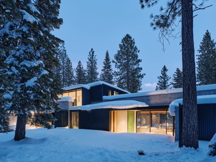 Forest House - 0