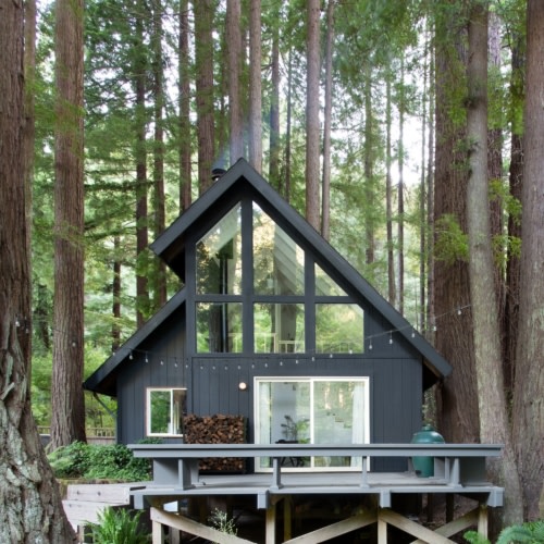 recent Caz Cabin home design projects